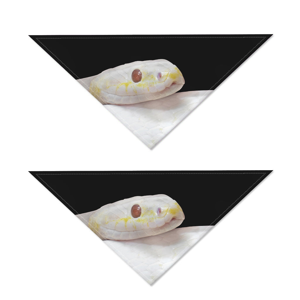 Albino Snake Print Dog Bandana