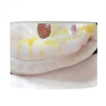 Albino Snake Print Drum Lamp Shade