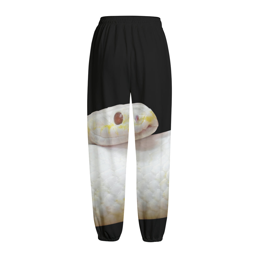 Albino Snake Print Fleece Lined Knit Pants