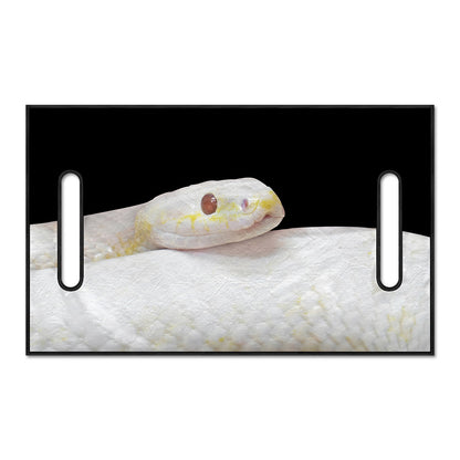 Albino Snake Print Golf Cart Seat Cover