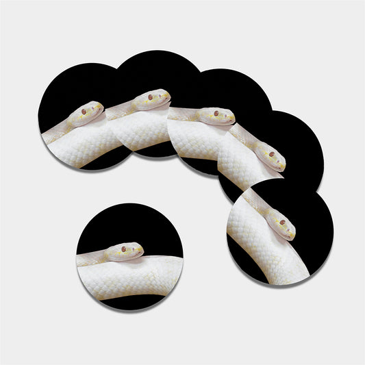 Albino Snake Print Leather Coaster Set