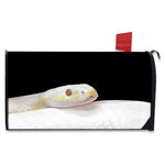 Albino Snake Print Mailbox Cover