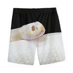 Albino Snake Print Men's Sports Shorts