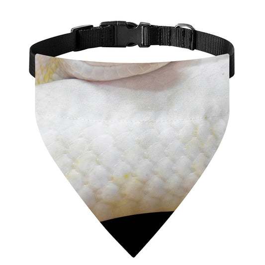 Albino Snake Print Over The Collar Dog Bandana