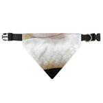 Albino Snake Print Over The Collar Dog Bandana