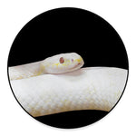 Albino Snake Print Round Floor Mat