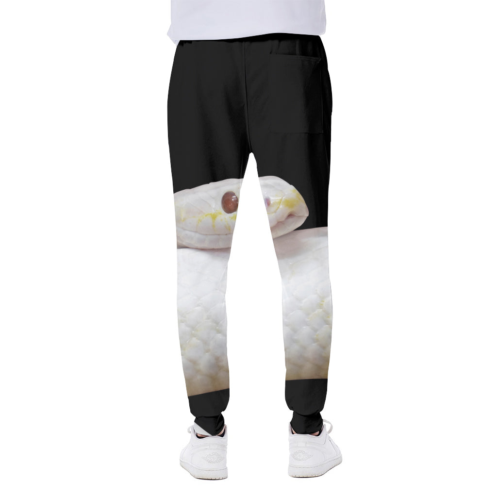 Albino Snake Print Scuba Joggers