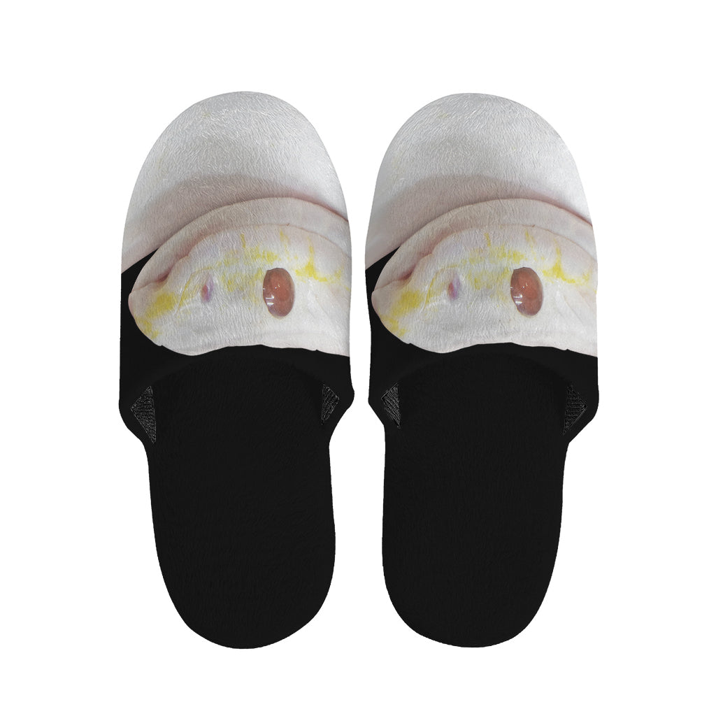 Albino Snake Print Slippers