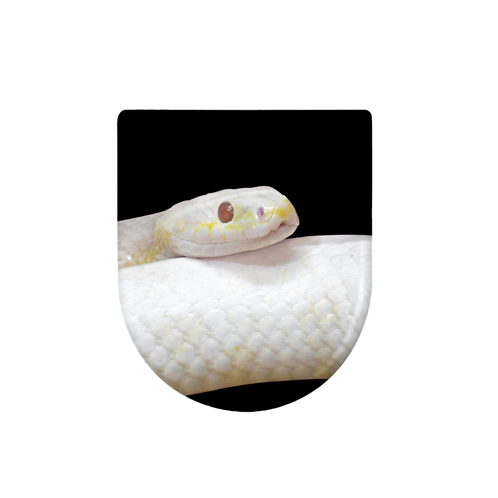 Albino Snake Print Toilet Lid Cover