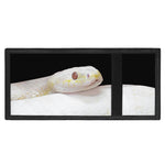 Albino Snake Print Trifold Wallet