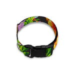 Aloha Hibiscus Pineapple Pattern Print Dog Collar
