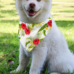 Aloha Hibiscus Tropical Pattern Print Over The Collar Dog Bandana