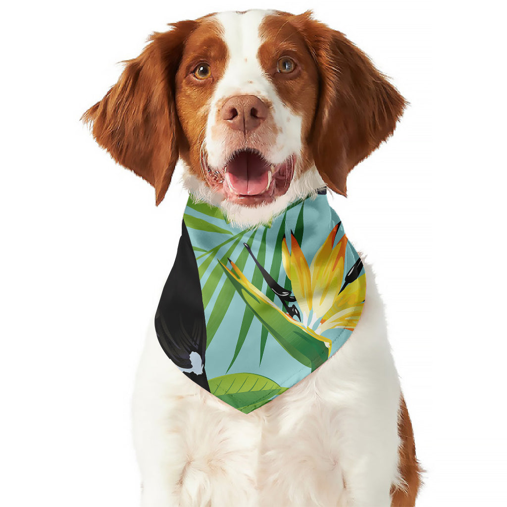 Aloha Keel-Billed Toucan Print Dog Bandana