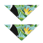 Aloha Keel-Billed Toucan Print Dog Bandana