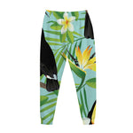 Aloha Keel-Billed Toucan Print Jogger Pants