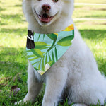 Aloha Keel-Billed Toucan Print Over The Collar Dog Bandana