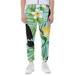 Aloha Keel-Billed Toucan Print Scuba Joggers