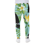 Aloha Keel-Billed Toucan Print Scuba Joggers
