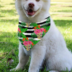 Aloha Skull Striped Pattern Print Over The Collar Dog Bandana