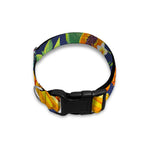 Aloha Tropical Fruits Pattern Print Dog Collar
