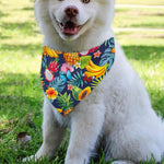 Aloha Tropical Fruits Pattern Print Over The Collar Dog Bandana