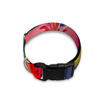 Aloha Tropical Watermelon Pattern Print Dog Collar