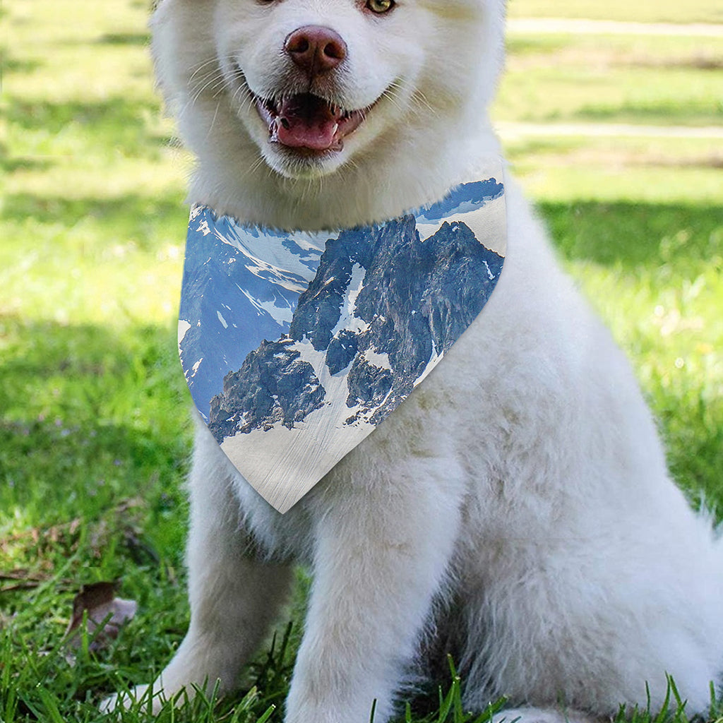 Alps Mountain Print Over The Collar Dog Bandana