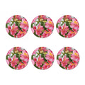 Alstroemeria Flower Print Coaster Set