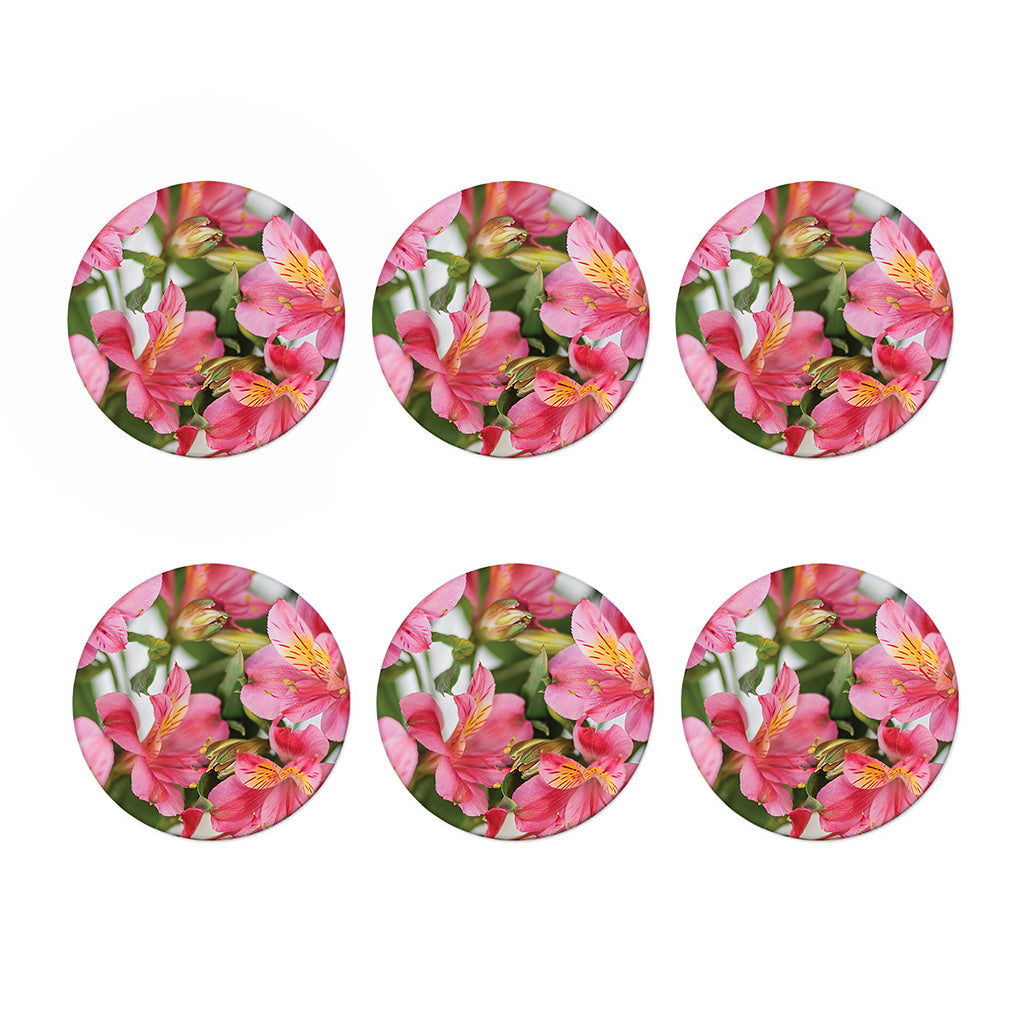 Alstroemeria Flower Print Coaster Set
