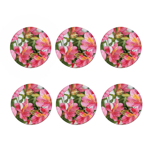 Alstroemeria Flower Print Coaster Set