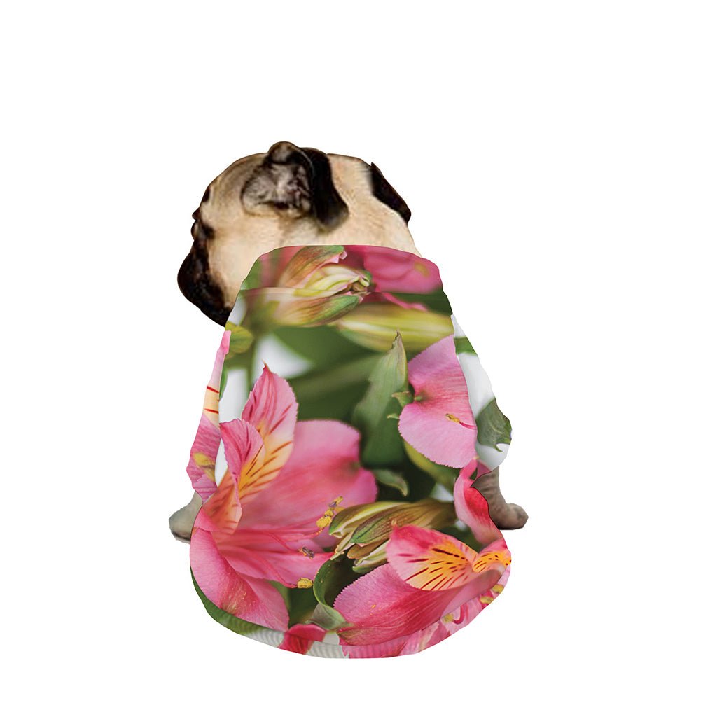 Alstroemeria Flower Print Dog Zip Up Jacket