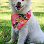 Alstroemeria Flower Print Over The Collar Dog Bandana