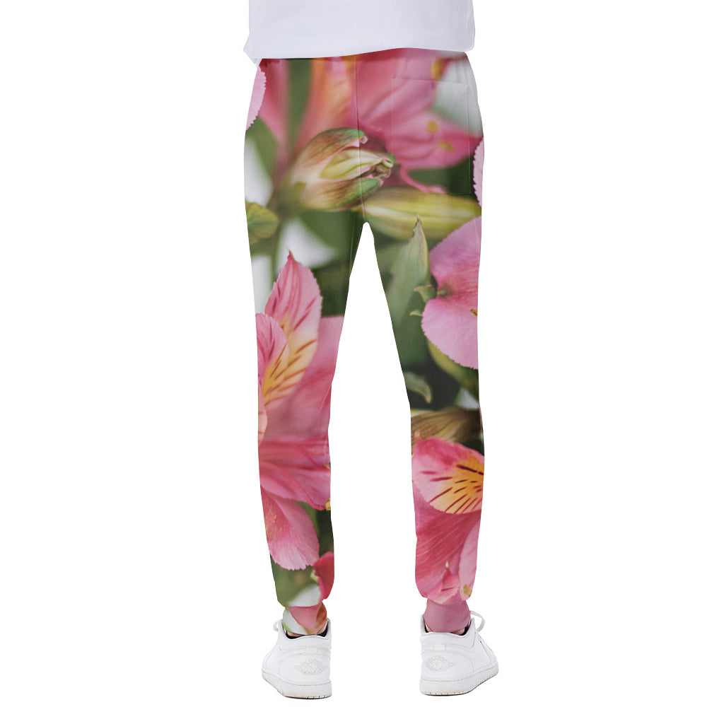 Alstroemeria Flower Print Scuba Joggers