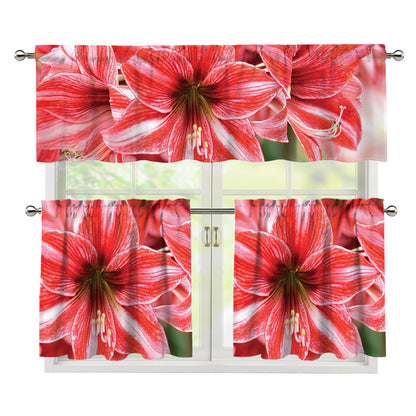 Amaryllis Flower Print 3 Piece Kitchen Curtains