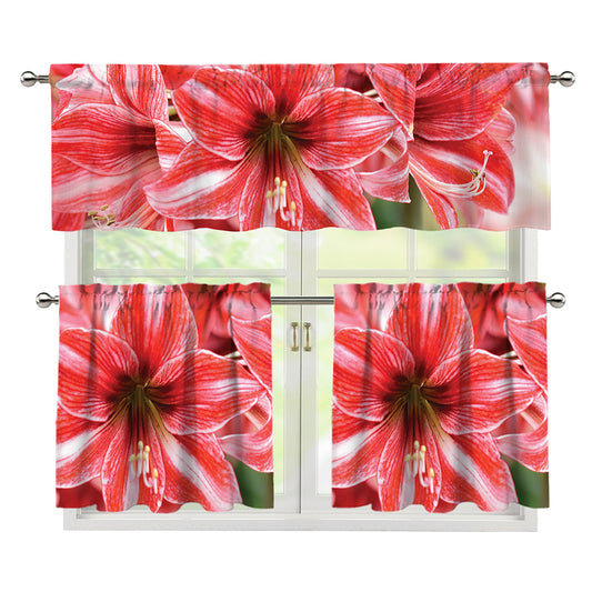Amaryllis Flower Print 3 Piece Kitchen Curtains