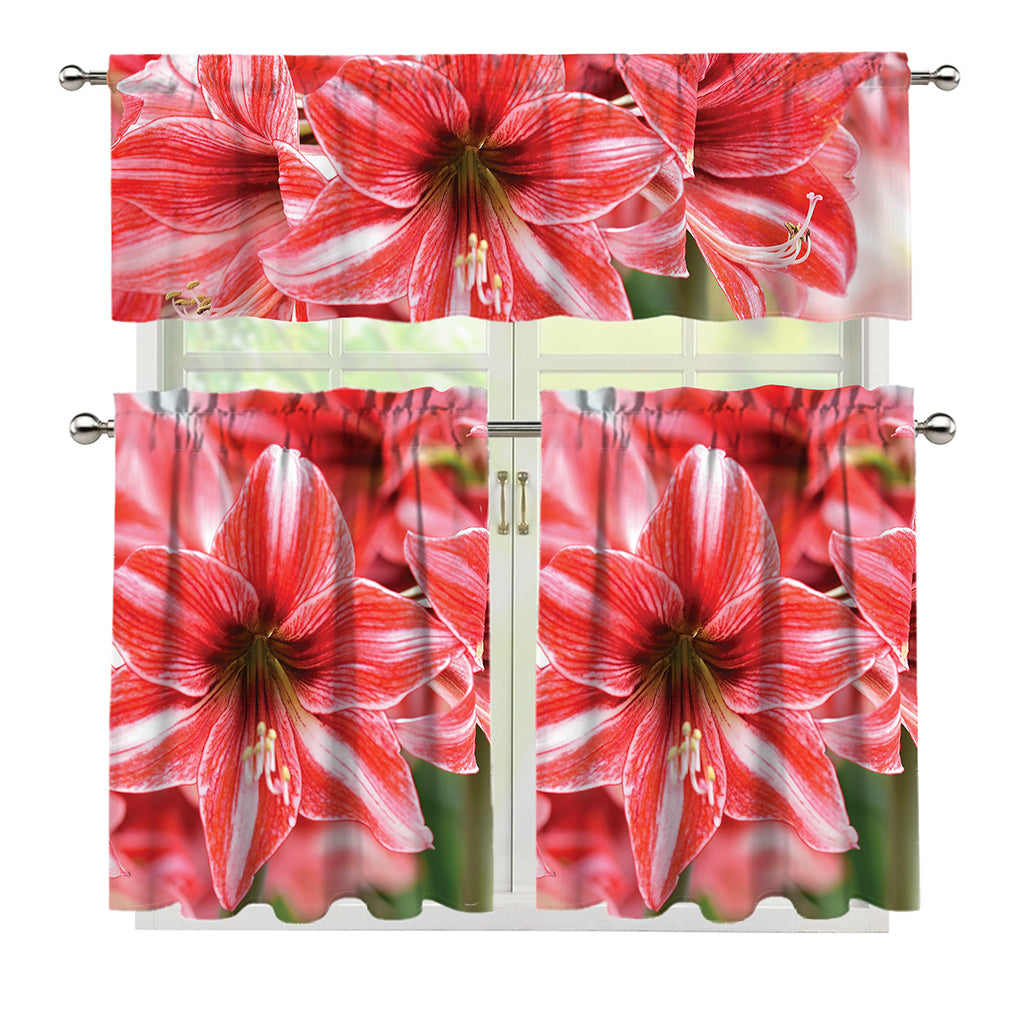 Amaryllis Flower Print 3 Piece Kitchen Curtains