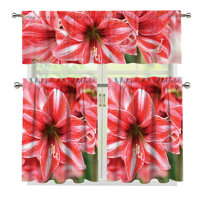 Amaryllis Flower Print 3 Piece Kitchen Curtains