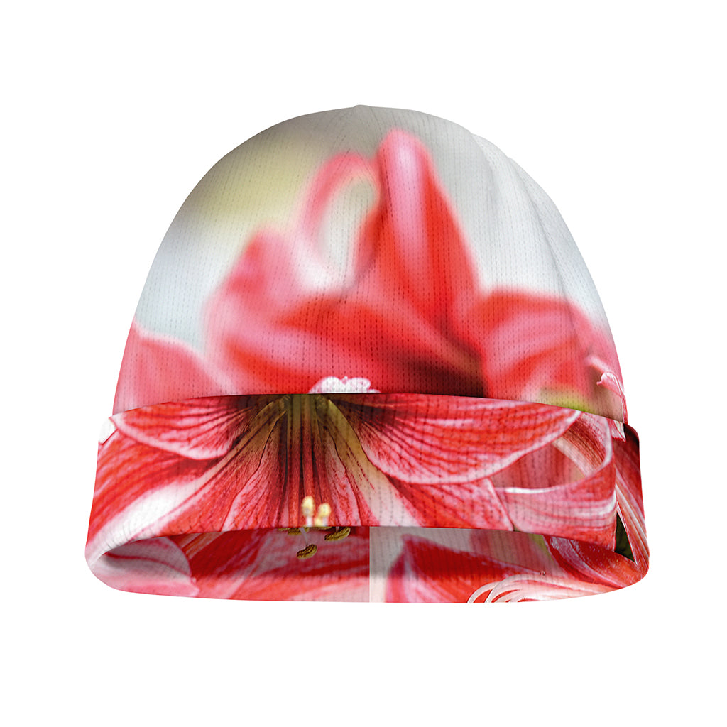 Amaryllis Flower Print Beanie