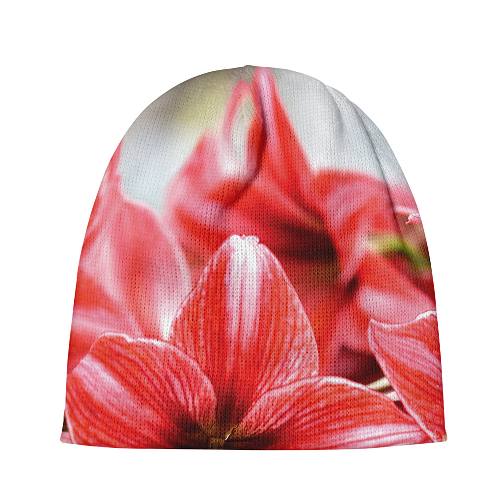 Amaryllis Flower Print Beanie