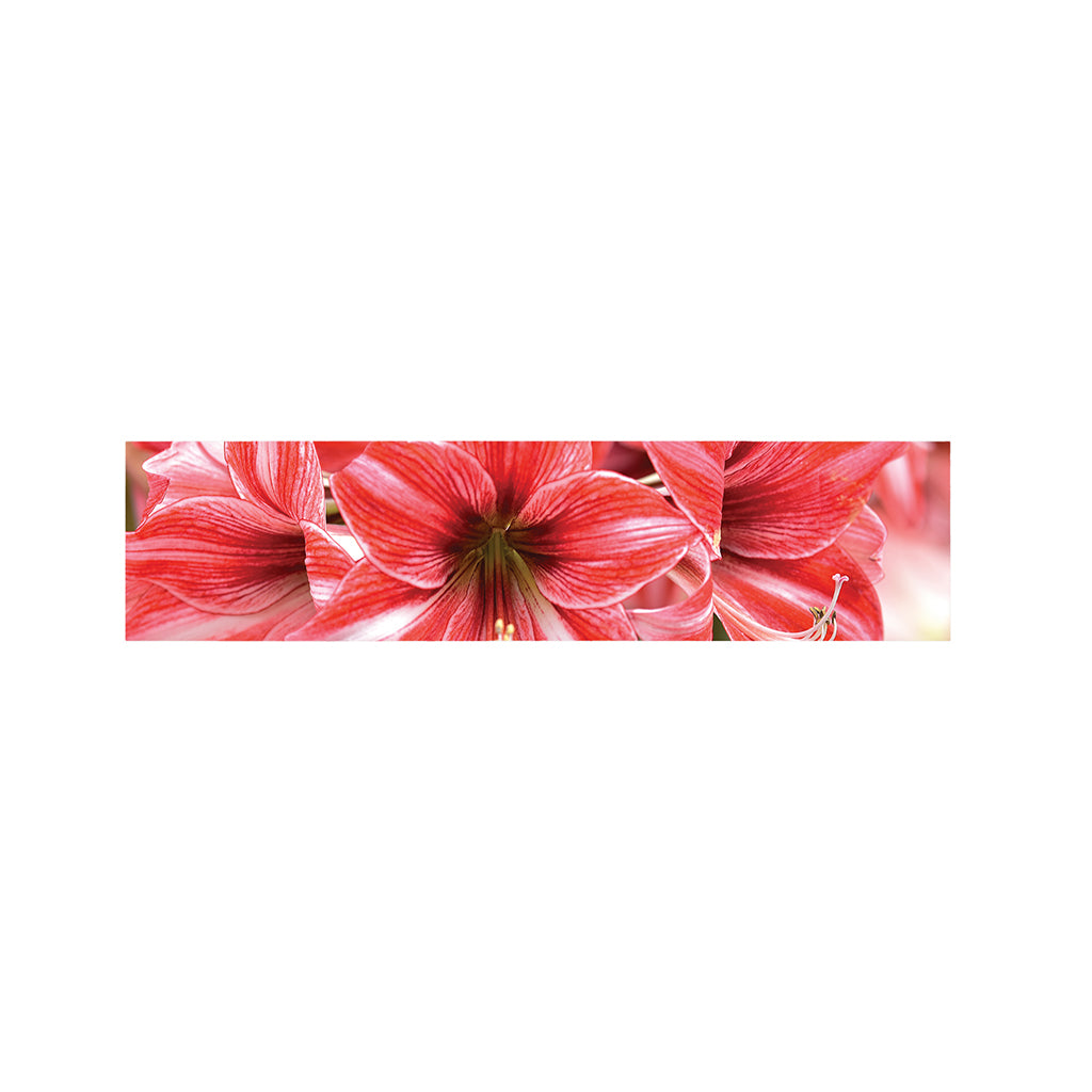 Amaryllis Flower Print Bed Runner