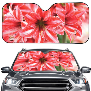 Amaryllis Flower Print Car Windshield Sun Shade