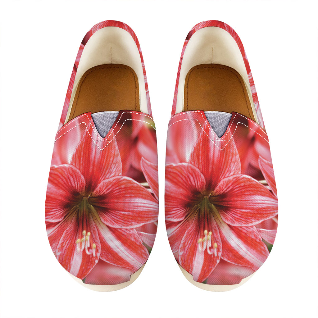 Amaryllis Flower Print Casual Shoes
