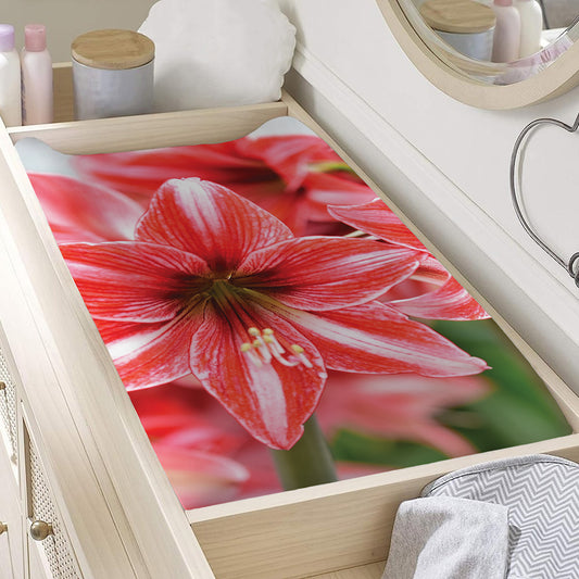 Amaryllis Flower Print Changing Pad Cover