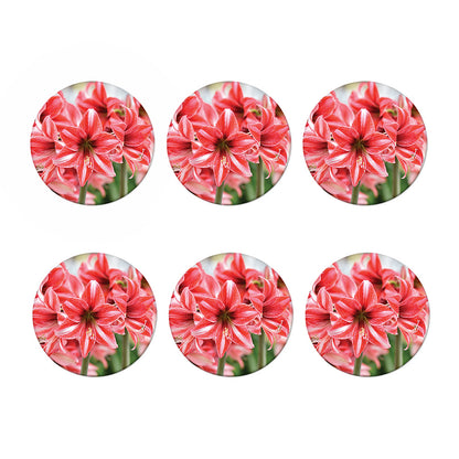 Amaryllis Flower Print Coaster Set