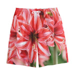 Amaryllis Flower Print Cotton Shorts