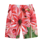 Amaryllis Flower Print Cotton Shorts