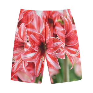 Amaryllis Flower Print Cotton Shorts