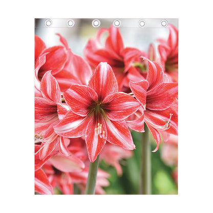 Amaryllis Flower Print Curtain