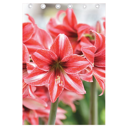 Amaryllis Flower Print Curtain
