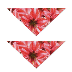 Amaryllis Flower Print Dog Bandana